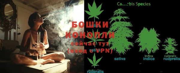 каннабис Алзамай