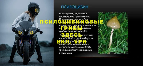 амфетамин Алексеевка